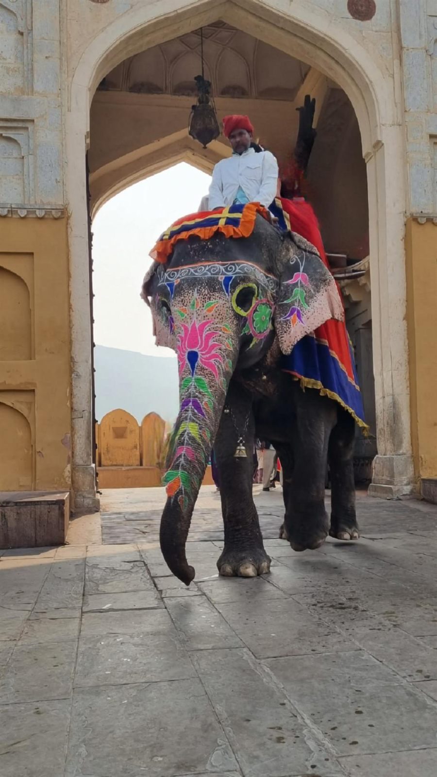 Gäste von India Karni auf ihrer Reise