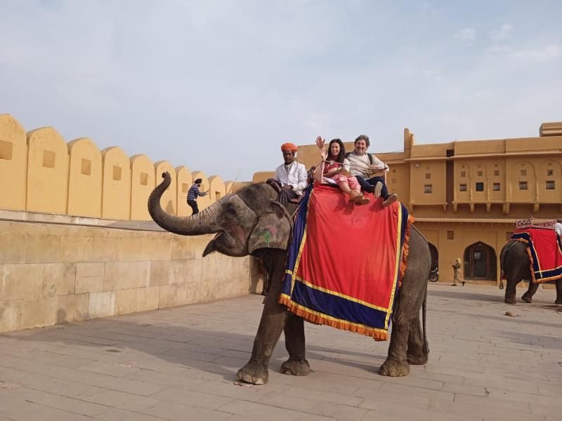 Gäste von India Karni auf ihrer Reise