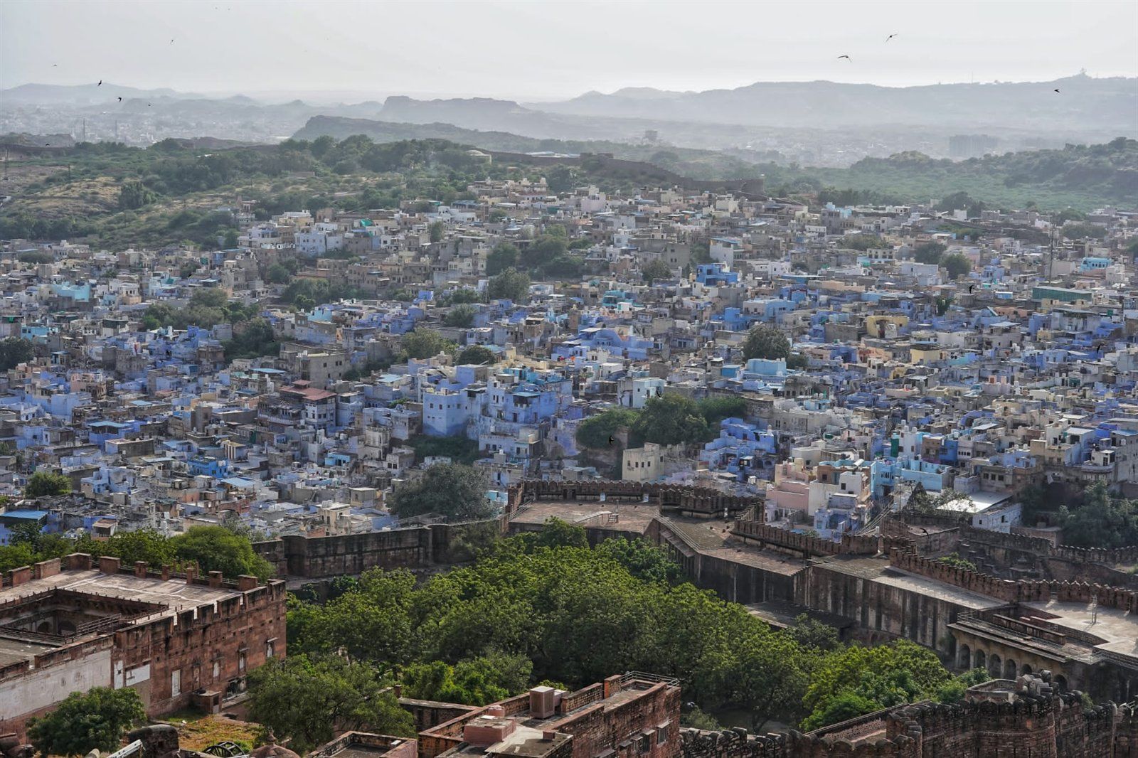 Jodhpur