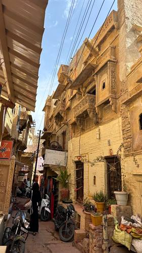 India Karni journeys — photograph 25