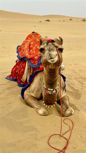 India Karni journeys — photograph 30