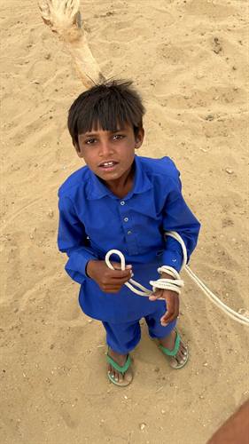India Karni journeys — photograph 47