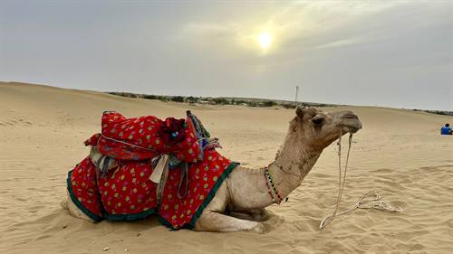 India Karni journeys — photograph 78