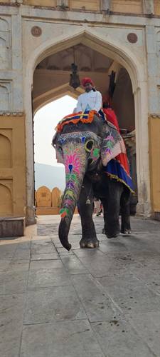 India Karni journeys — photograph 95