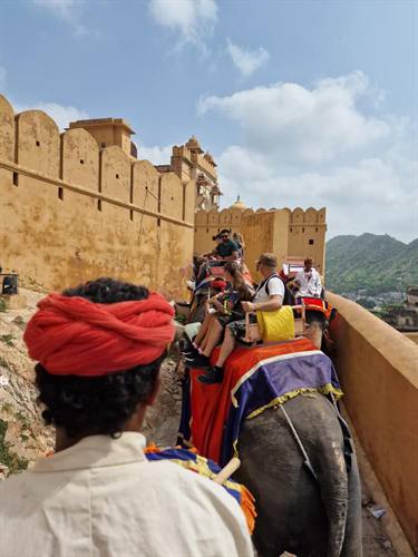 India Karni journeys — photograph 103