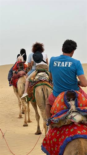 India Karni journeys — photograph 107