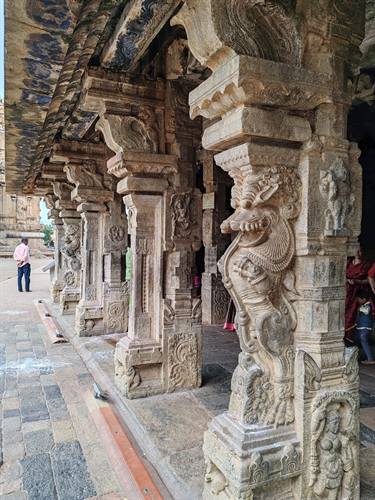 India Karni journeys — photograph 132