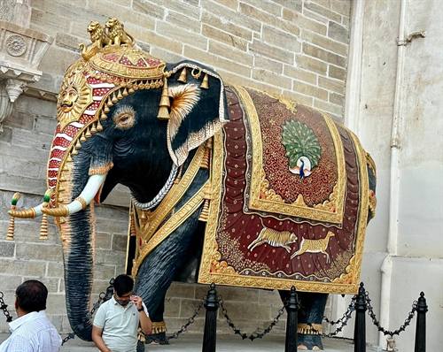 India Karni journeys — photograph 134