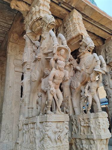 India Karni journeys — photograph 138