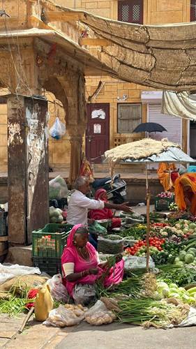 India Karni journeys — photograph 148