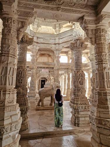 India Karni journeys — photograph 158