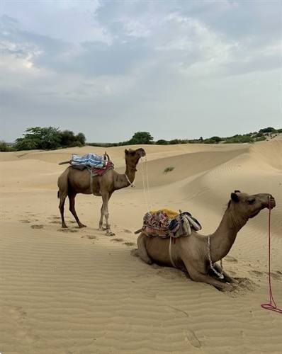 India Karni journeys — photograph 195