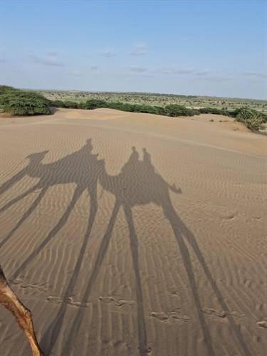 India Karni journeys — photograph 258