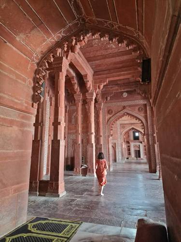 India Karni journeys — photograph 267