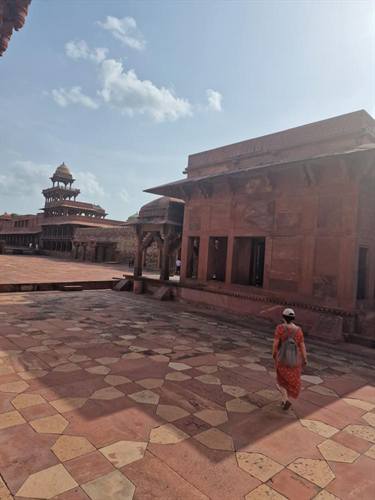 India Karni journeys — photograph 268