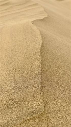 India Karni journeys — photograph 273