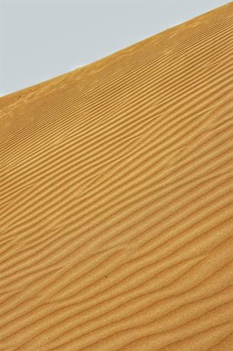 India Karni journeys — photograph 284