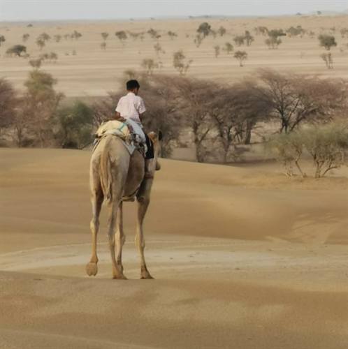 India Karni journeys — photograph 288