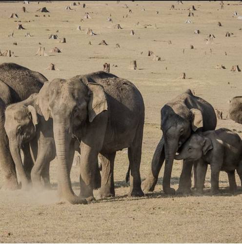 India Karni journeys — photograph 295
