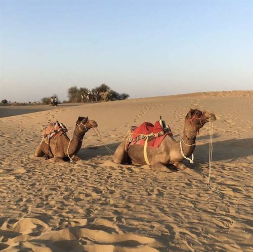 India Karni journeys — photograph 300