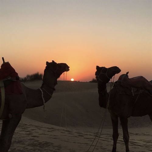 India Karni journeys — photograph 301
