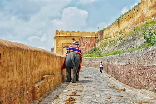 India Karni journeys — photograph 308