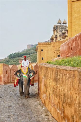 India Karni journeys — photograph 316