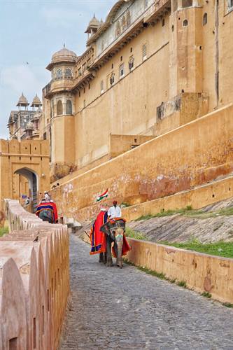 India Karni journeys — photograph 324