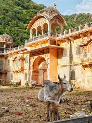 India Karni journeys — photograph 351
