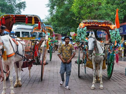 India Karni journeys — photograph 364