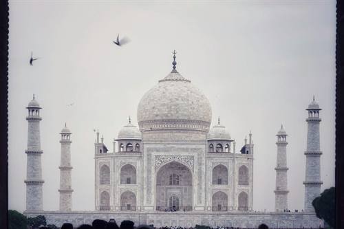India Karni journeys — photograph 366
