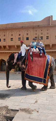 India Karni journeys — photograph 380