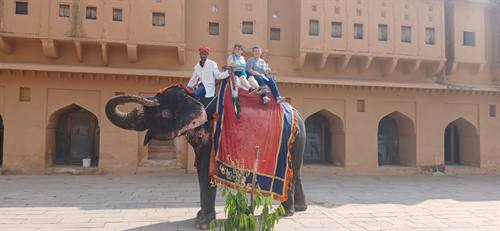 India Karni journeys — photograph 382
