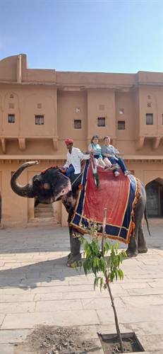 India Karni journeys — photograph 383