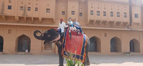 India Karni journeys — photograph 384