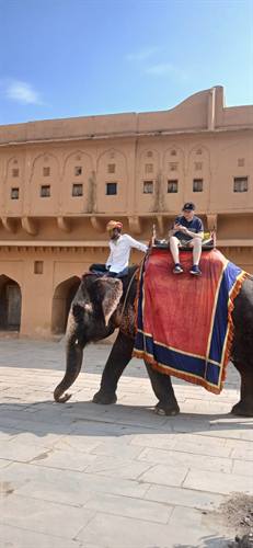 India Karni journeys — photograph 385