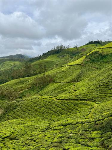 India Karni journeys — photograph 388