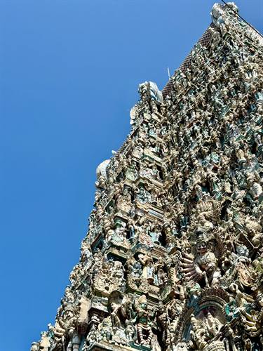 India Karni journeys — photograph 391