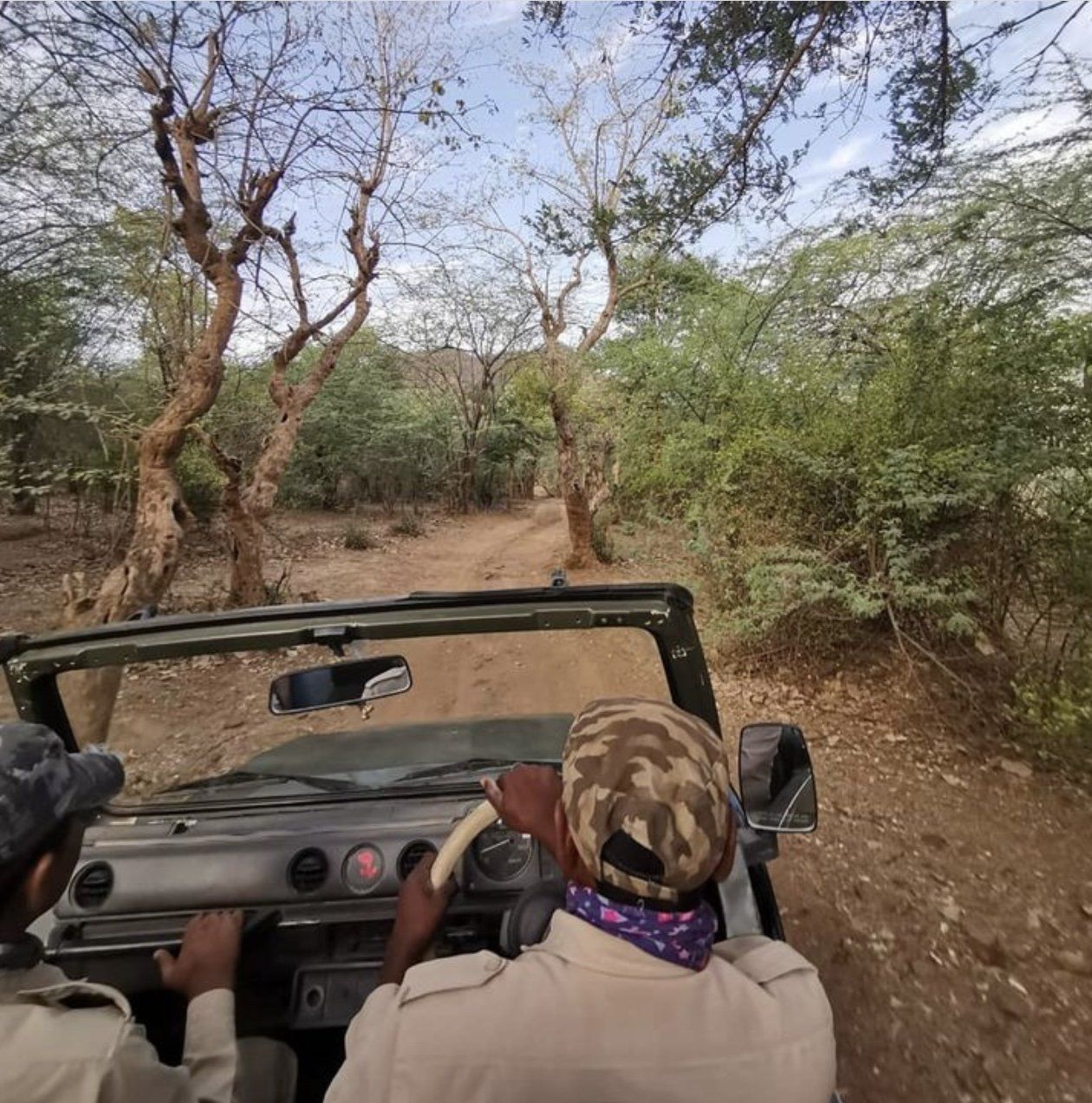 Wildlife-Safaris in Indien