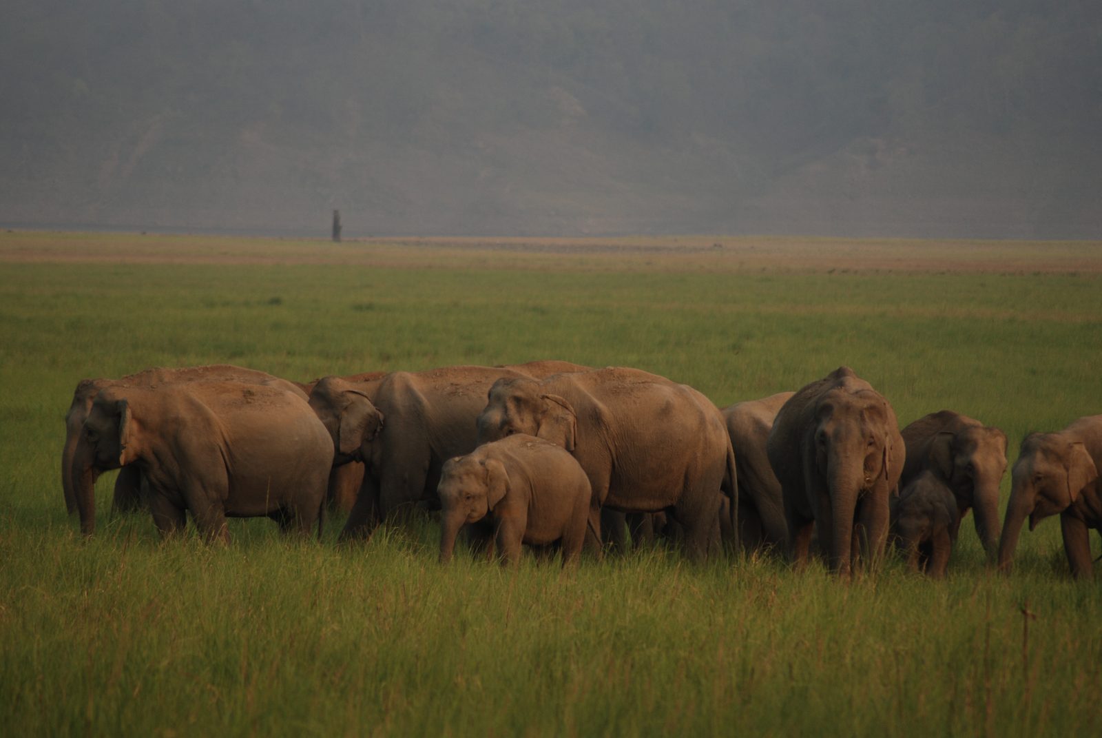 Tage Wildlife-Tour