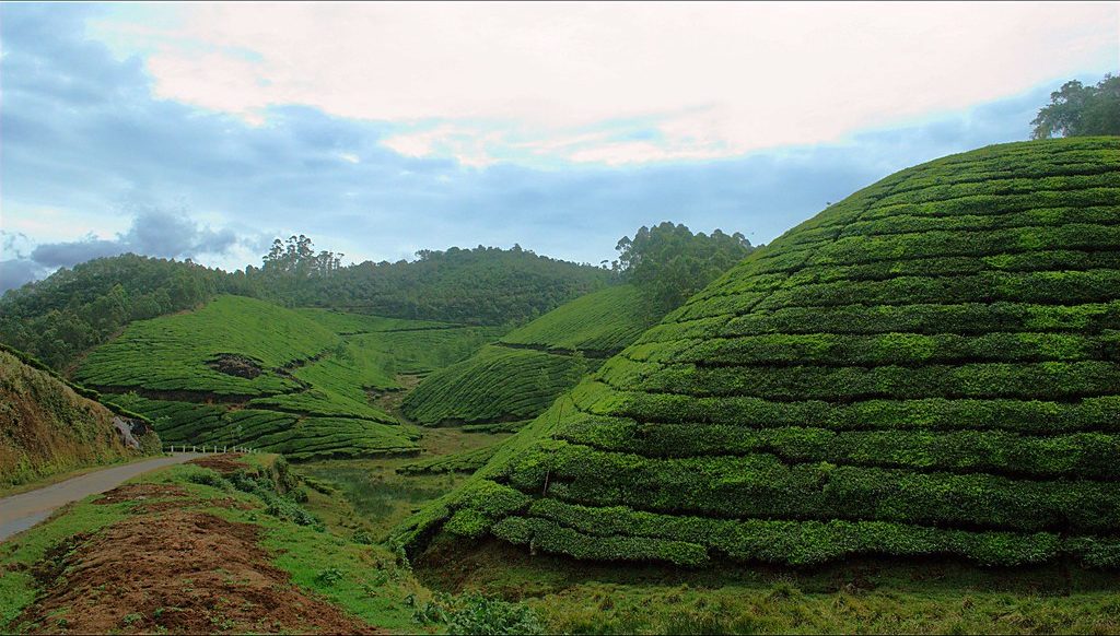 Tage Kerala-Rundreise