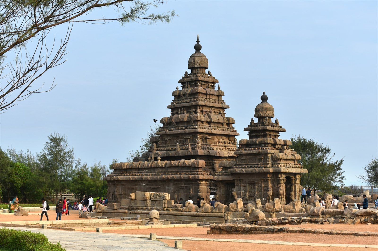 Tage Tamilnadu & Kerala