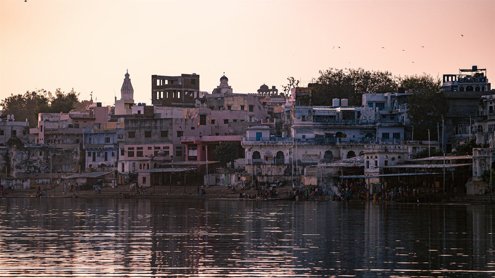 Nächte Goldenes Dreieck und der Markt von Pushkar
